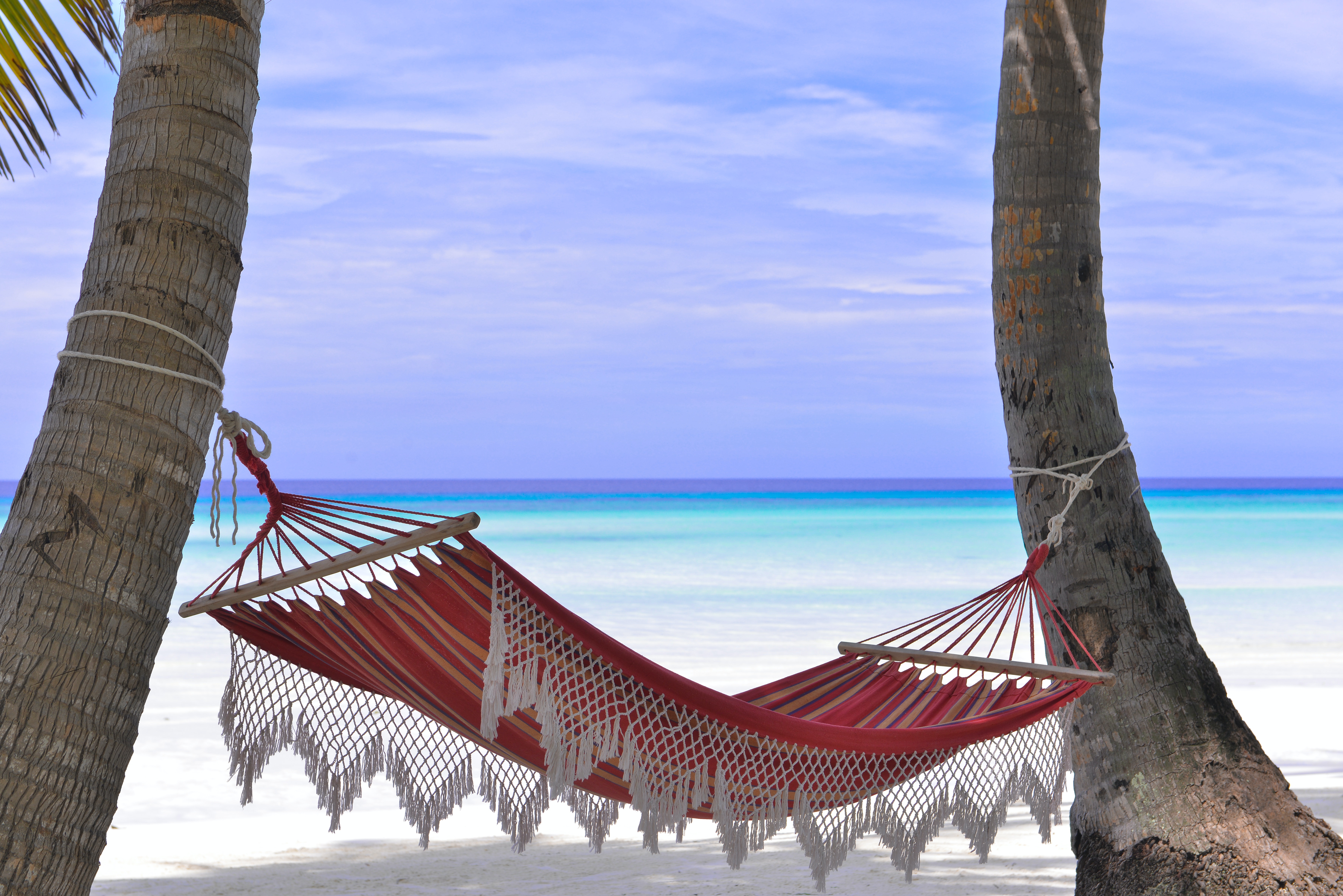Todo lo que Aruba tiene para ofrecer: ¡Un paraíso en el Caribe te espera!