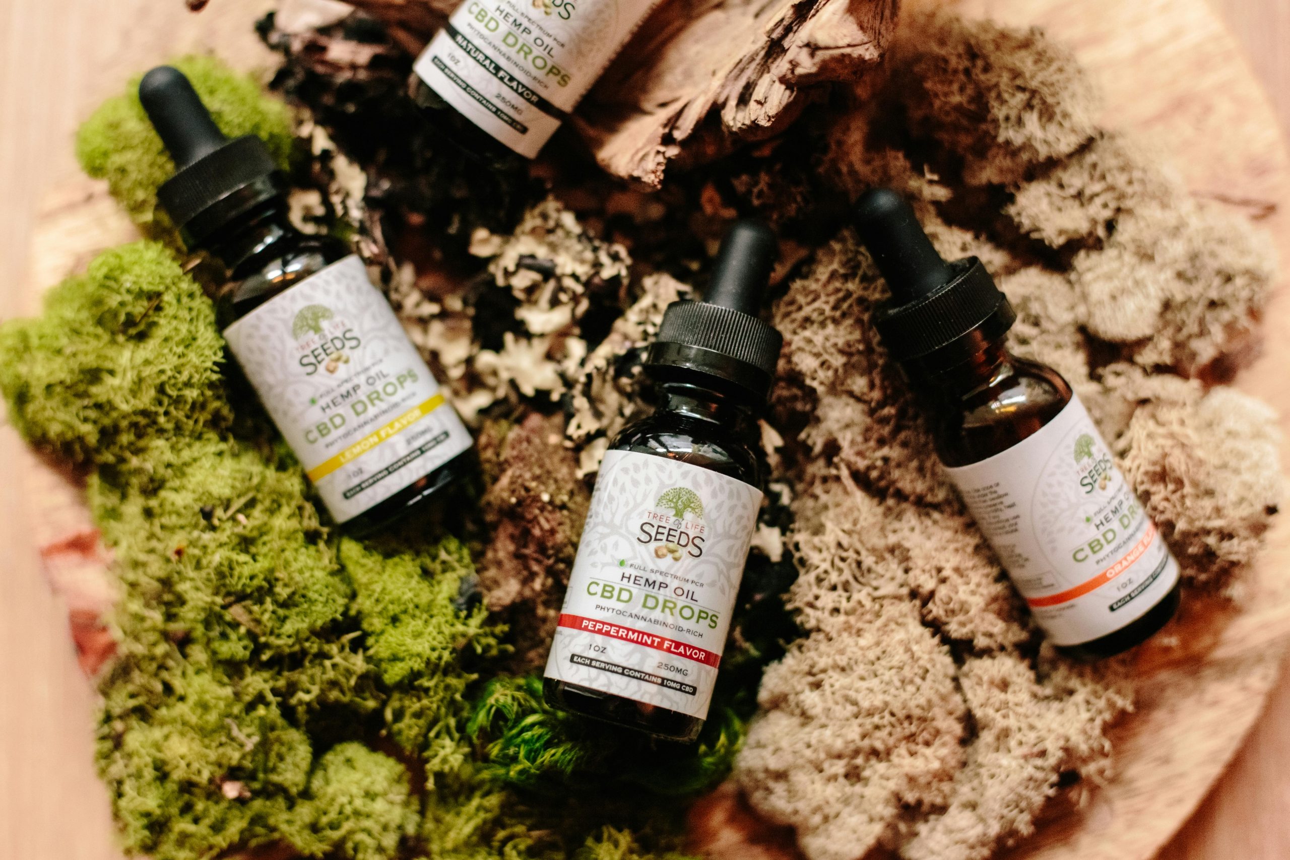 Mini Buds de CBD Baratos: ¿La Opción Perfecta para Nuevos Usuarios y Consumidores Experimentados?